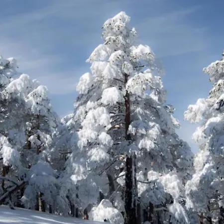 Σπίτι διακοπών El Sitio *
